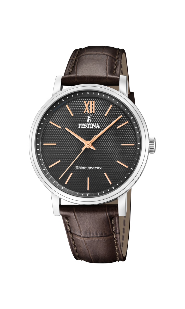 FESTINA 20660/6