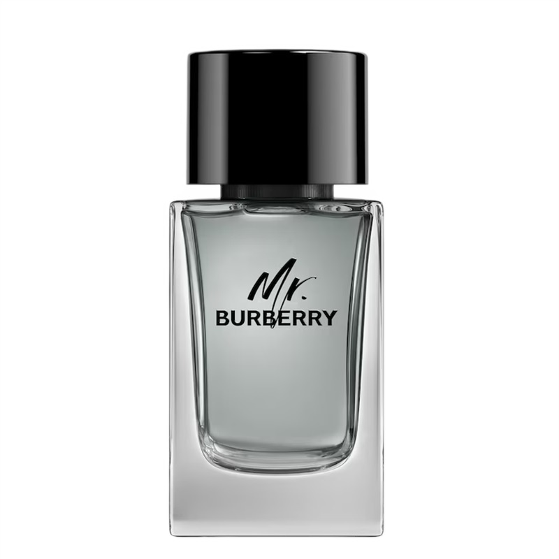 Burberry Mr. Burberry for Men Eau de toilette Woda toaletowa