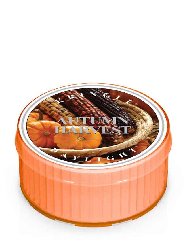 Świeca zapachowa Kringle Candle Autumn Harvest (35 g)