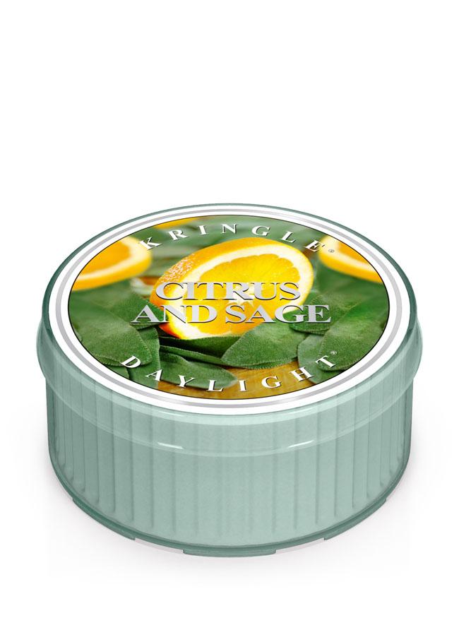 Świeca zapachowa Kringle Candle CITRUS & SAGE (35 g)